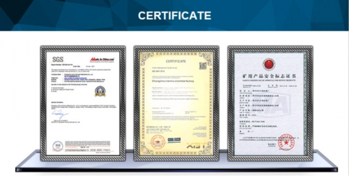 Backstop Overrunning Clutch GV60 One Direction Cam Clutch Roller Bearing GV Series 10