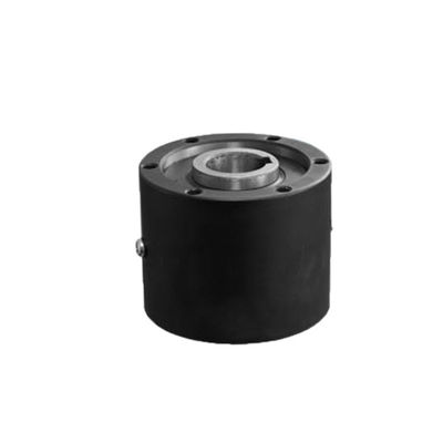 Beli BS160HS BS220HS Torsi Tinggi One Way Clutch Conveyor Rollers Over Running Clutch online manufacture